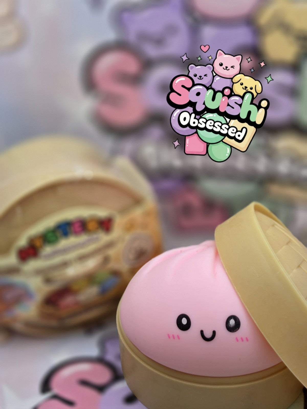  MYSTERY Dumpling Squishy Bao Bun • Blind Box Toy!  Great Quality, Brand NEW2